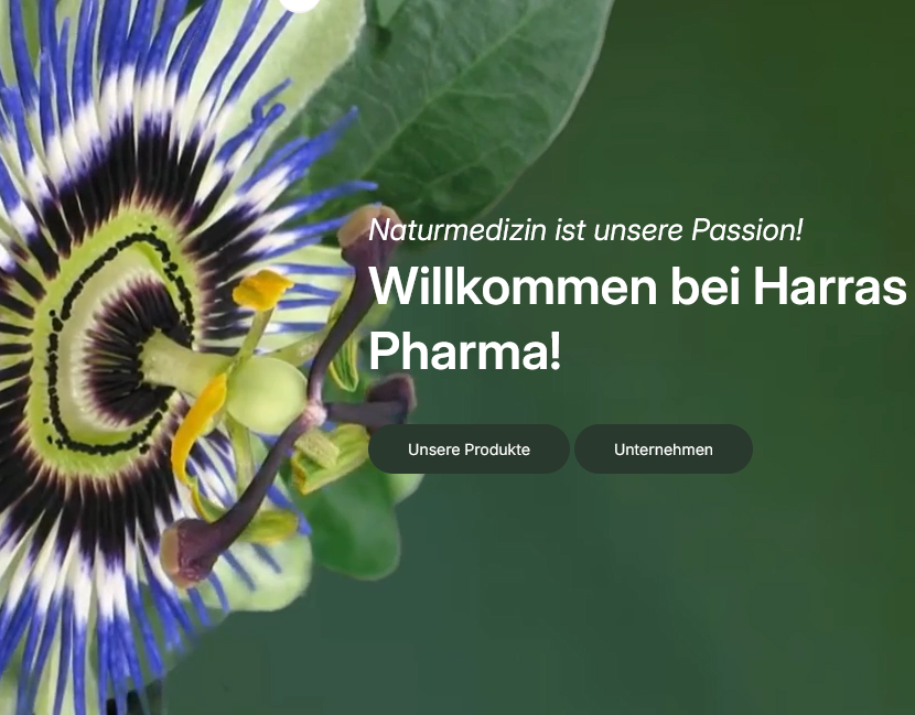 Unsere neue Homepage ist online!