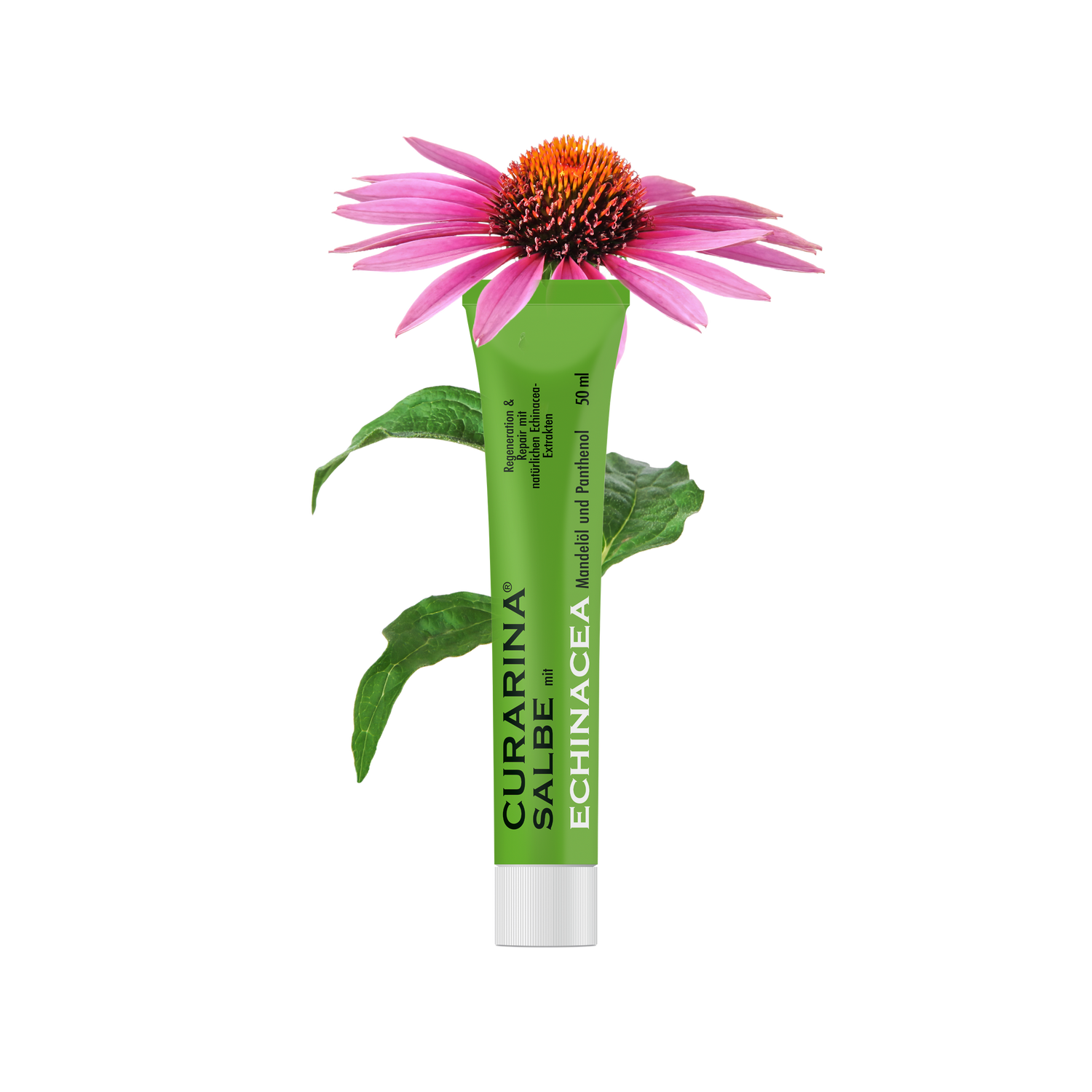 Curarina® Salbe mit Echinacea
